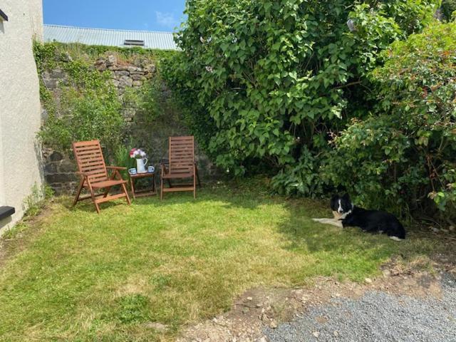 The Cottage Exeter Buitenkant foto